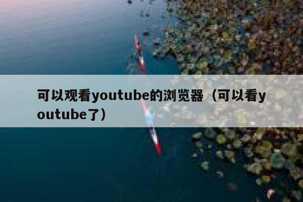 可以观看youtube的浏览器（可以看youtube了） 第1张