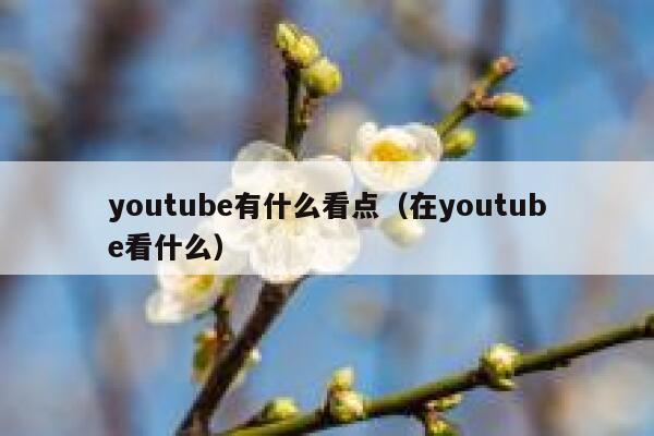 youtube有什么看点（在youtube看什么） 第1张