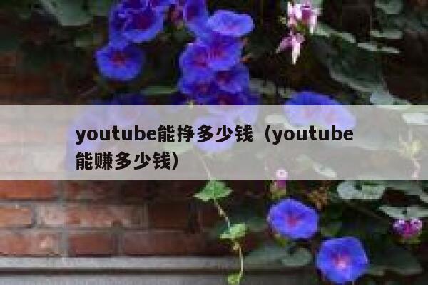 youtube能挣多少钱（youtube能赚多少钱） 第1张