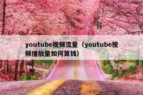 youtube视频流量（youtube视频播放量如何算钱） 第1张