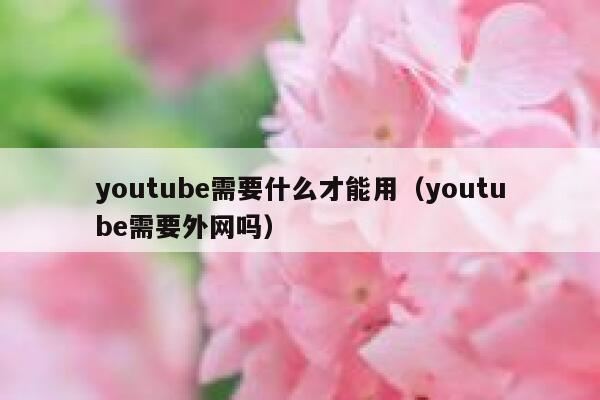 youtube需要什么才能用（youtube需要外网吗） 第1张