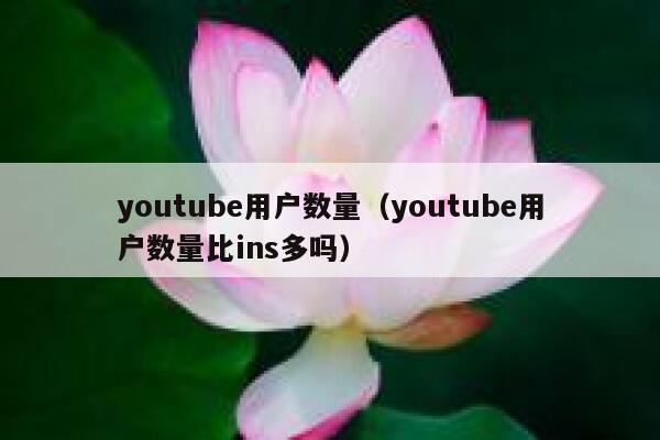 youtube用户数量（youtube用户数量比ins多吗） 第1张