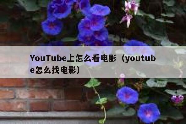 YouTube上怎么看电影（youtube怎么找电影） 第1张