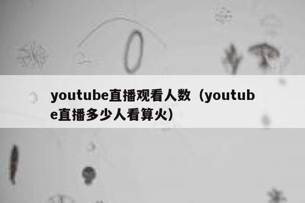 youtube直播观看人数（youtube直播多少人看算火） 第1张