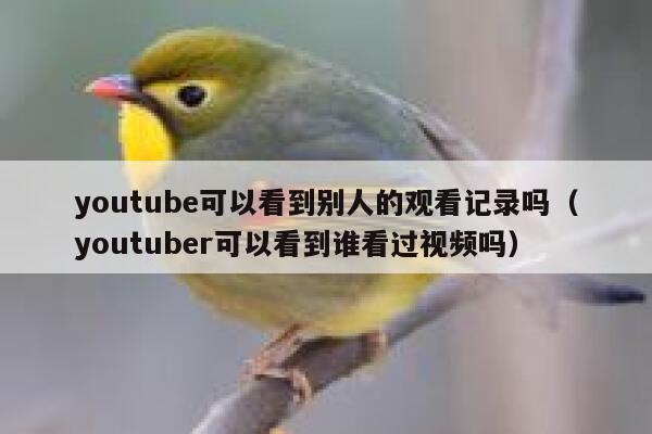 youtube可以看到别人的观看记录吗（youtuber可以看到谁看过视频吗） 第1张