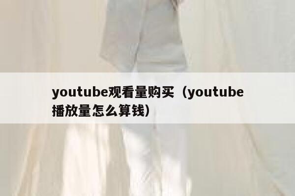 youtube观看量购买（youtube播放量怎么算钱） 第1张