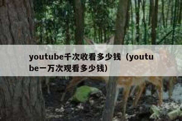 youtube千次收看多少钱（youtube一万次观看多少钱） 第1张