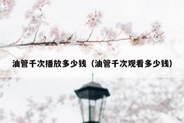 油管千次播放多少钱（油管千次观看多少钱） 第1张