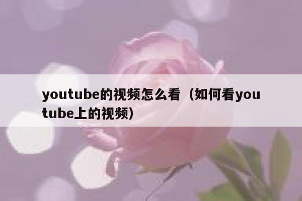 youtube的视频怎么看（如何看youtube上的视频） 第1张