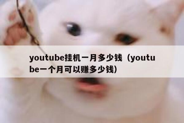 youtube挂机一月多少钱（youtube一个月可以赚多少钱） 第1张