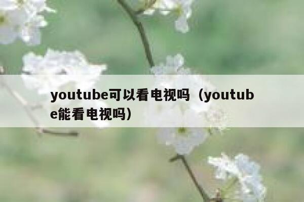 youtube可以看电视吗（youtube能看电视吗） 第1张