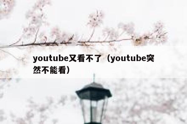 youtube又看不了（youtube突然不能看） 第1张