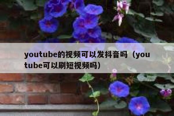 youtube的视频可以发抖音吗（youtube可以刷短视频吗） 第1张