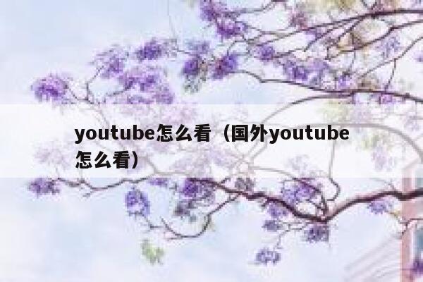 youtube怎么看（国外youtube怎么看） 第1张