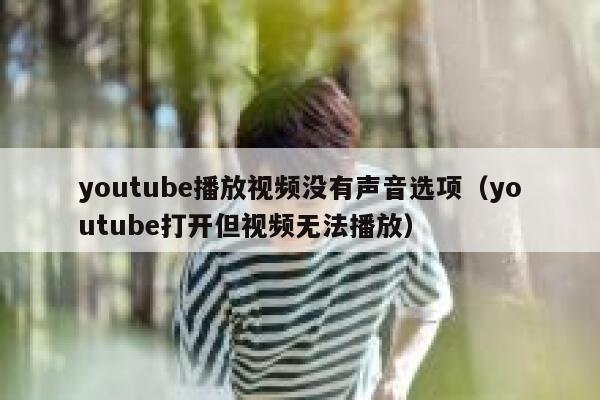youtube播放视频没有声音选项（youtube打开但视频无法播放） 第1张