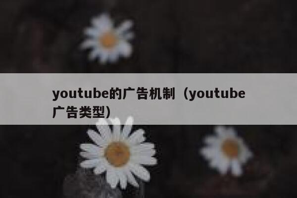 youtube的广告机制（youtube广告类型） 第1张