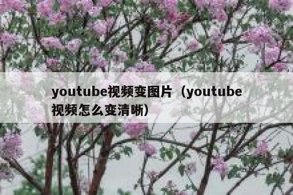 youtube视频变图片（youtube视频怎么变清晰） 第1张