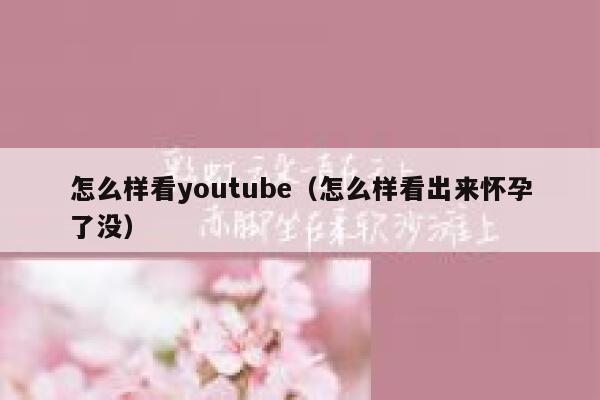 怎么样看youtube（怎么样看出来怀孕了没） 第1张