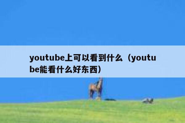 youtube上可以看到什么（youtube能看什么好东西） 第1张