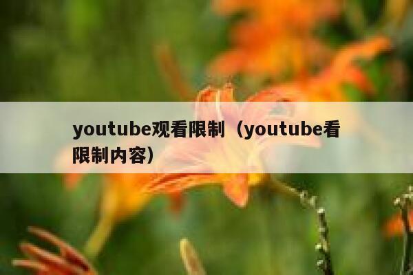 youtube观看限制（youtube看限制内容） 第1张