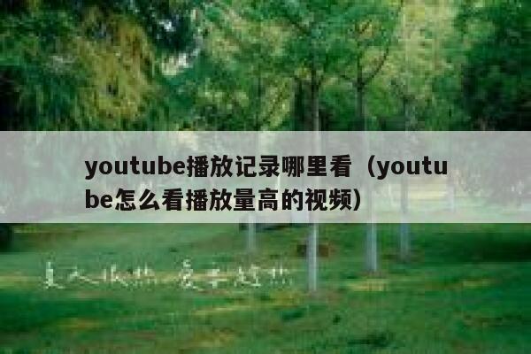 youtube播放记录哪里看（youtube怎么看播放量高的视频） 第1张