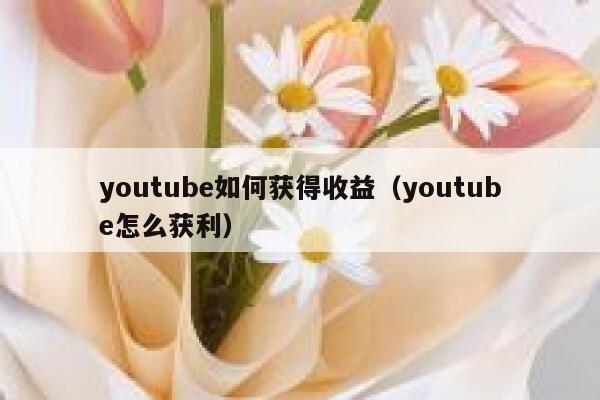 youtube如何获得收益（youtube怎么获利） 第1张