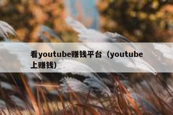 看youtube赚钱平台（youtube上赚钱） 第1张