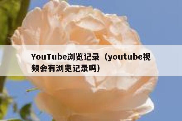 YouTube浏览记录（youtube视频会有浏览记录吗） 第1张