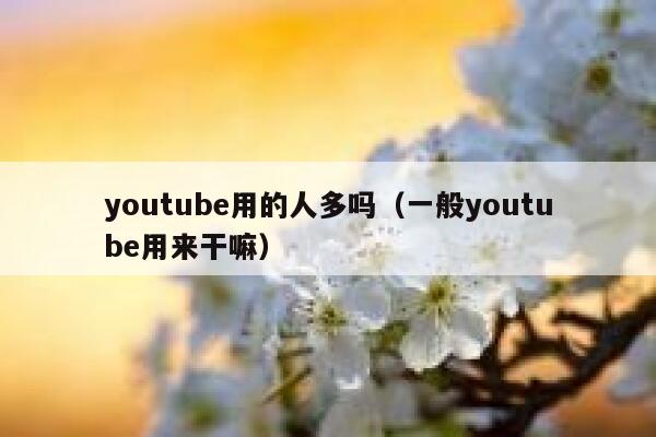 youtube用的人多吗（一般youtube用来干嘛） 第1张