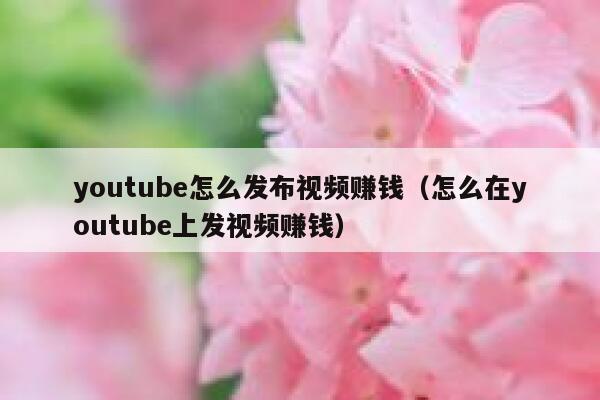 youtube怎么发布视频赚钱(怎么在youtube上发视频赚钱) 第1张 youtube怎么发布视频赚钱(怎么在youtube上发视频赚钱) 第1张