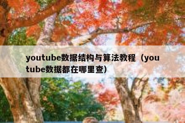 youtube数据结构与算法教程(youtube数据都在哪里查) 第1张 youtube数据结构与算法教程(youtube数据都在哪里查) 第1张