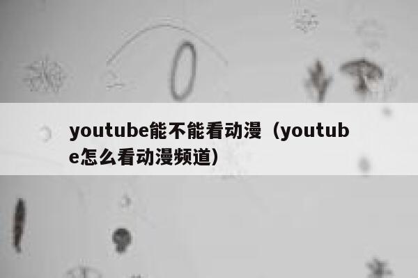 youtube能不能看动漫（youtube怎么看动漫频道） 第1张