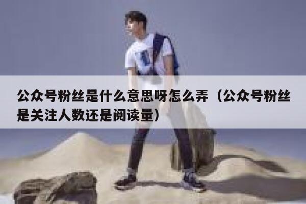 公众号粉丝是什么意思呀怎么弄（公众号粉丝是关注人数还是阅读量） 第1张