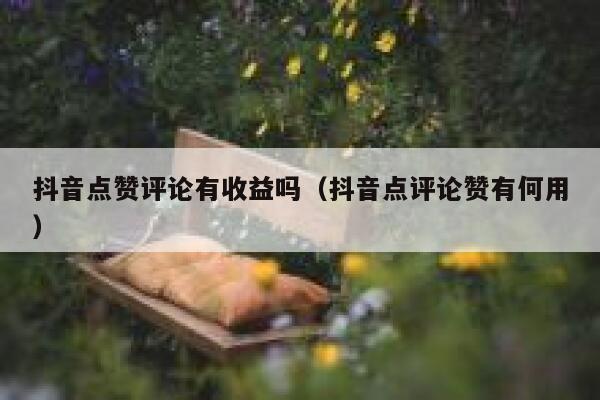 抖音点赞评论有收益吗（抖音点评论赞有何用） 第1张
