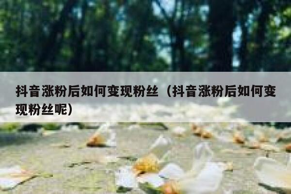 抖音涨粉后如何变现粉丝（抖音涨粉后如何变现粉丝呢） 第1张