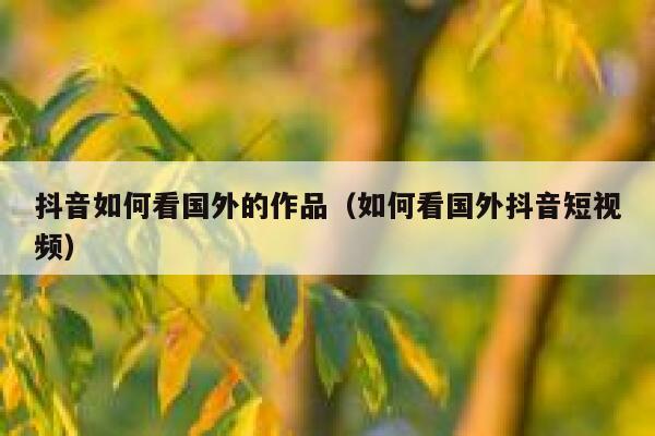 抖音如何看国外的作品（如何看国外抖音短视频） 第1张