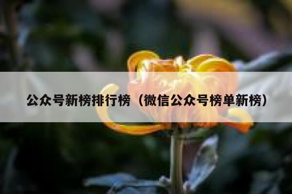 公众号新榜排行榜（微信公众号榜单新榜） 第1张