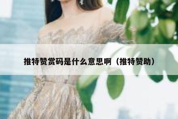 推特赞赏码是什么意思啊（推特赞助） 第1张