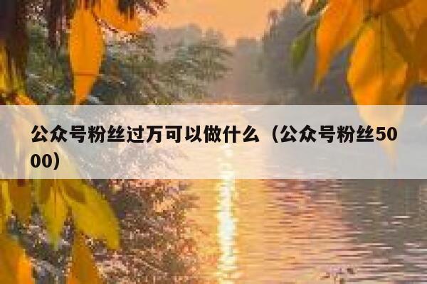 公众号粉丝过万可以做什么（公众号粉丝5000） 第1张