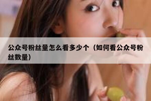 公众号粉丝量怎么看多少个（如何看公众号粉丝数量） 第1张