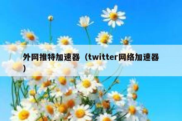 外网推特加速器（twitter网络加速器） 第1张