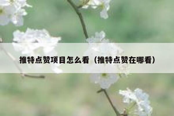 推特点赞项目怎么看（推特点赞在哪看） 第1张