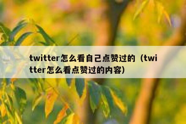 twitter怎么看自己点赞过的（twitter怎么看点赞过的内容） 第1张