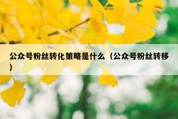 公众号粉丝转化策略是什么（公众号粉丝转移） 第1张