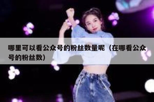 哪里可以看公众号的粉丝数量呢（在哪看公众号的粉丝数） 第1张