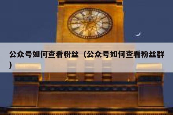 公众号如何查看粉丝（公众号如何查看粉丝群） 第1张