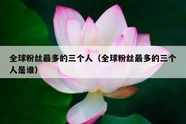 全球粉丝最多的三个人（全球粉丝最多的三个人是谁） 第1张