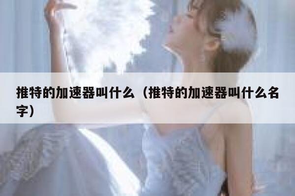 推特的加速器叫什么（推特的加速器叫什么名字） 第1张