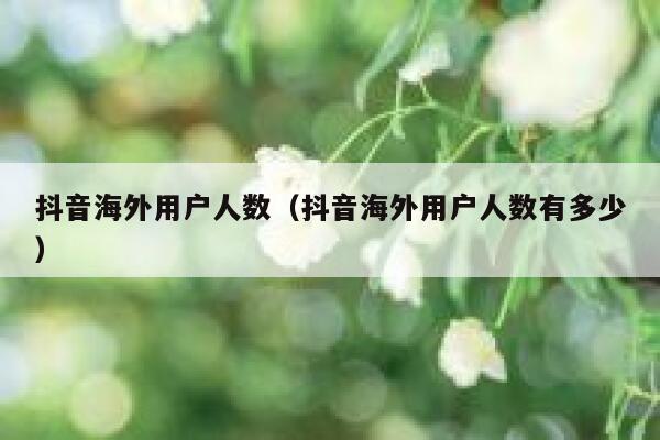 抖音海外用户人数（抖音海外用户人数有多少） 第1张