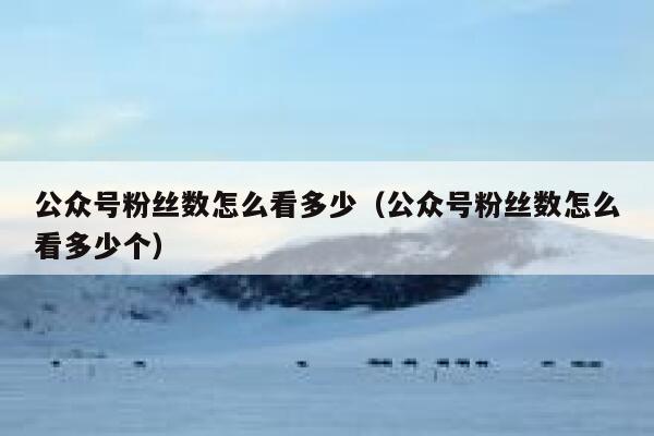 公众号粉丝数怎么看多少（公众号粉丝数怎么看多少个） 第1张